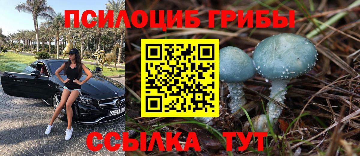 Псилоцибиновые грибы Psilocybine cubensis  хочу   Галлюциногенные грибы Psilocybe  Тверь  Вход с VPN 