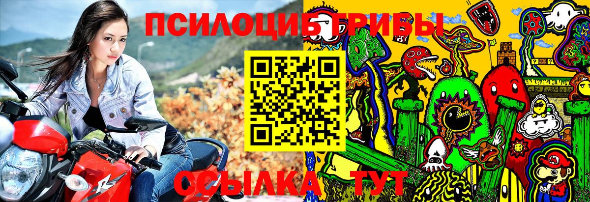 Галлюциногенные грибы MAGIC MUSHROOMS Тверь
